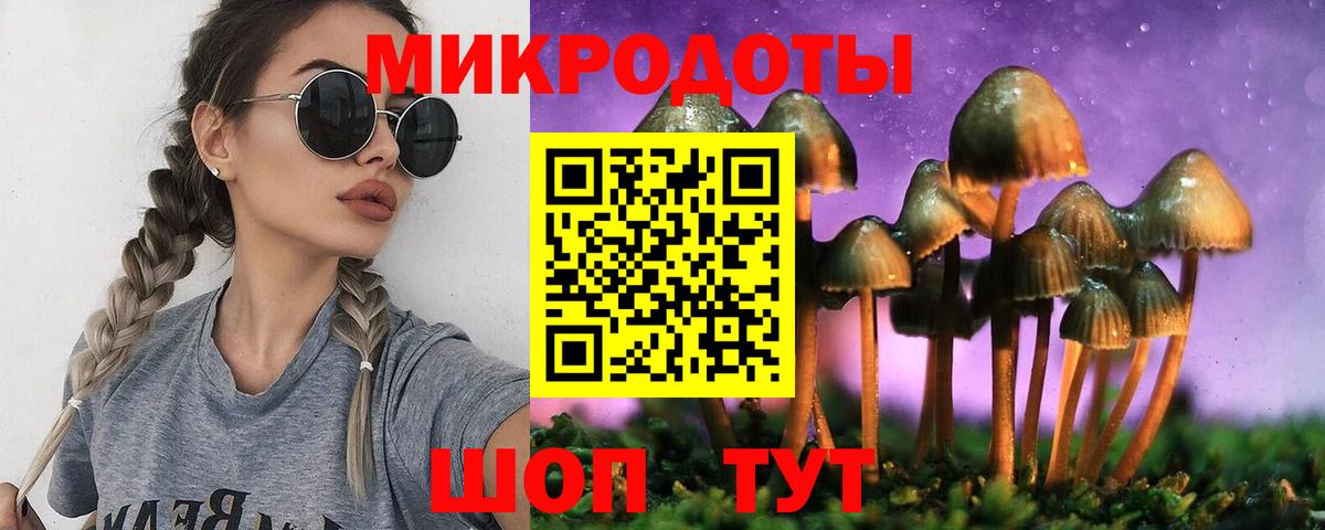 Галлюциногенные грибы Psilocybine cubensis Южноуральск